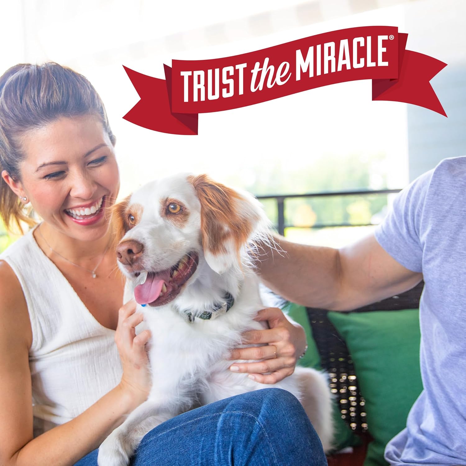 Nature’s Miracle Stain and Odor Remover Dog, 32 Ounces – Aromatherapy-Friendly Odor Remover for Yoga and Reading Rooms