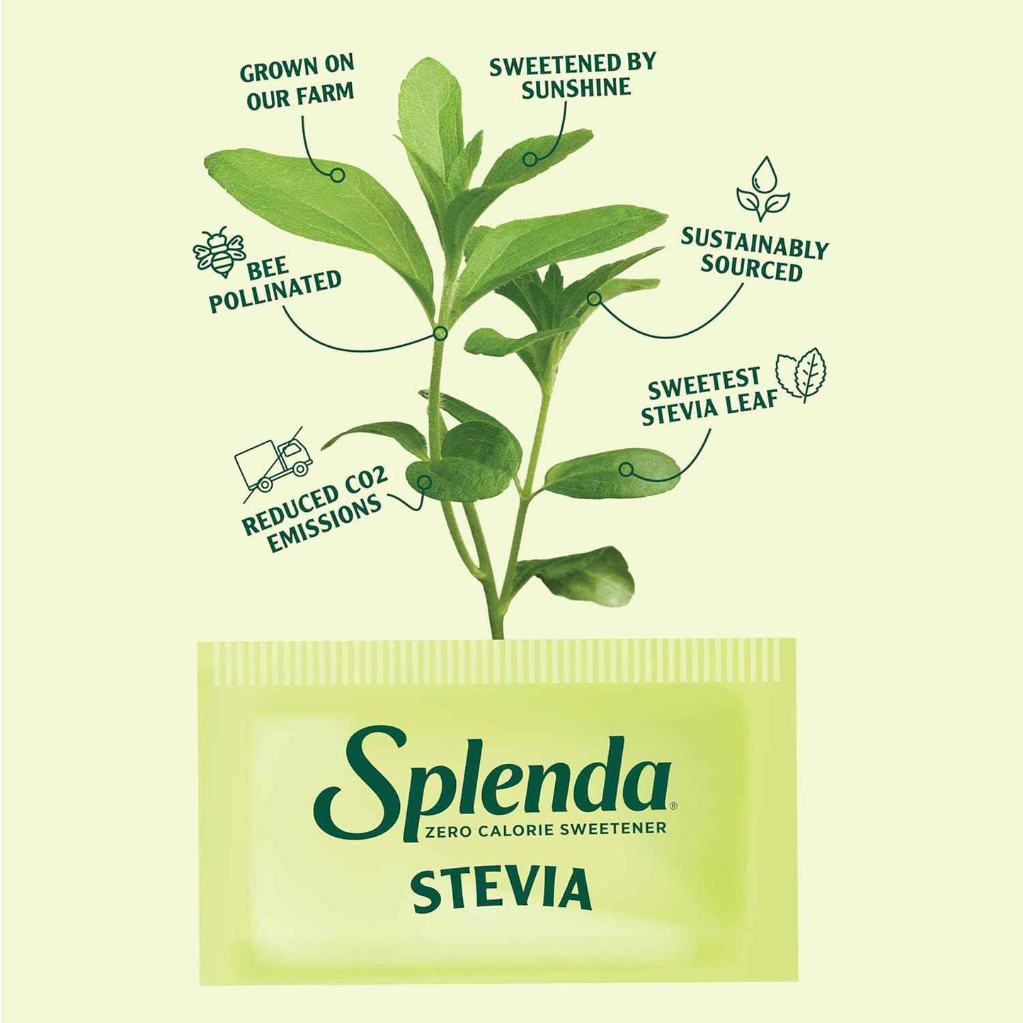 Splenda Stevia Zero Calorie Sweetener Packets – Office Desk Essential for Focused Workdays, Single-Serve Sugar Substitute