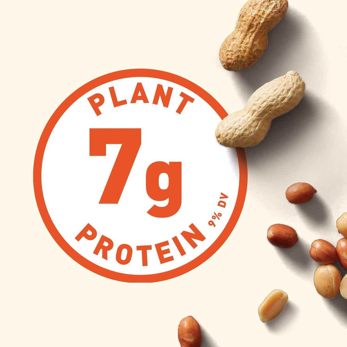 CLIF Nut Butter Bar – Individually Wrapped Energy Bar for Cycling Routes and Trail Adventures