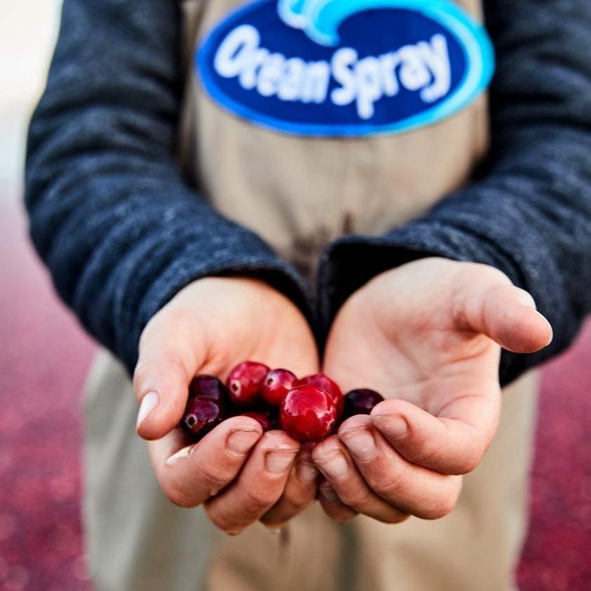 Ocean Spray Cran-Energy Cranberry Raspberry Energy Juice Drink for Office Focus and Sugar Free Workday Energy