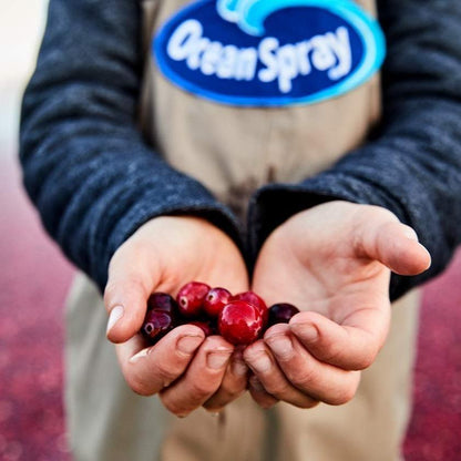 Ocean Spray Cran-Energy Cranberry Raspberry Energy Juice Drink for Office Focus and Sugar Free Workday Energy