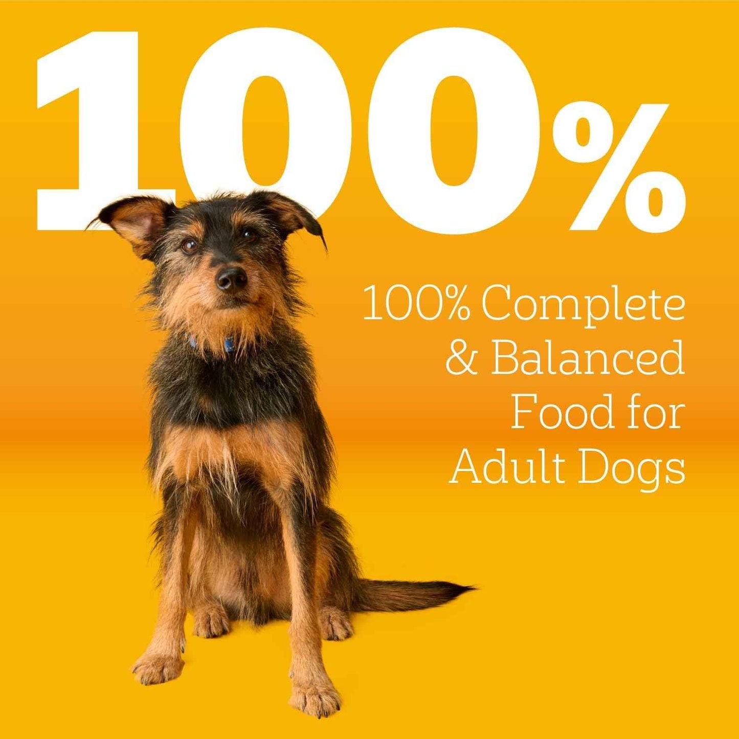 Pedigree Adult Dry Dog Food – Practical Housewarming Gift for Dog-Loving Friends, 18 lb. Bag