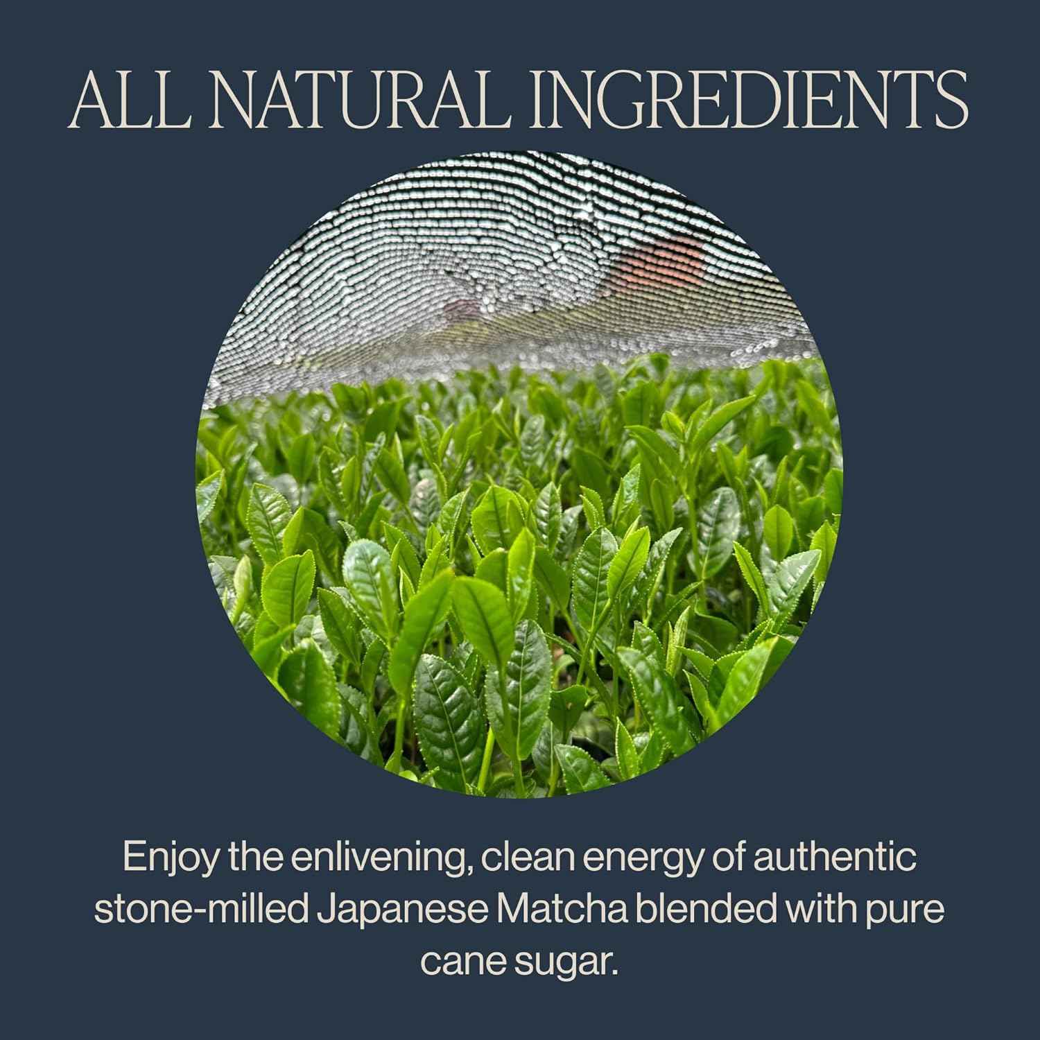 Rishi Tea Sweet Matcha – Pre-Sweetened Green Tea Sachets for Home Office Focus and No-Mess Caffeine Breaks