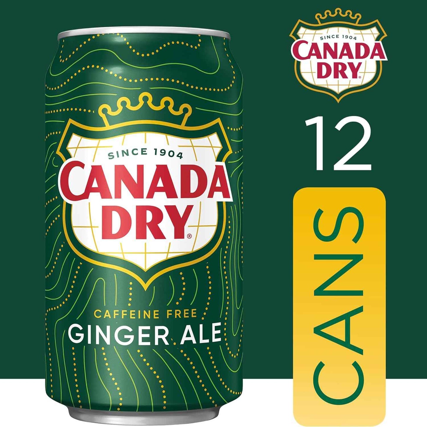 Canada Dry Ginger Ale Soda – Campfire and Trail Refreshment, Caffeine-Free 12 fl oz Cans 24 Pack