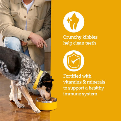 Pedigree Adult Dry Dog Food – Practical Housewarming Gift for Dog-Loving Friends, 18 lb. Bag