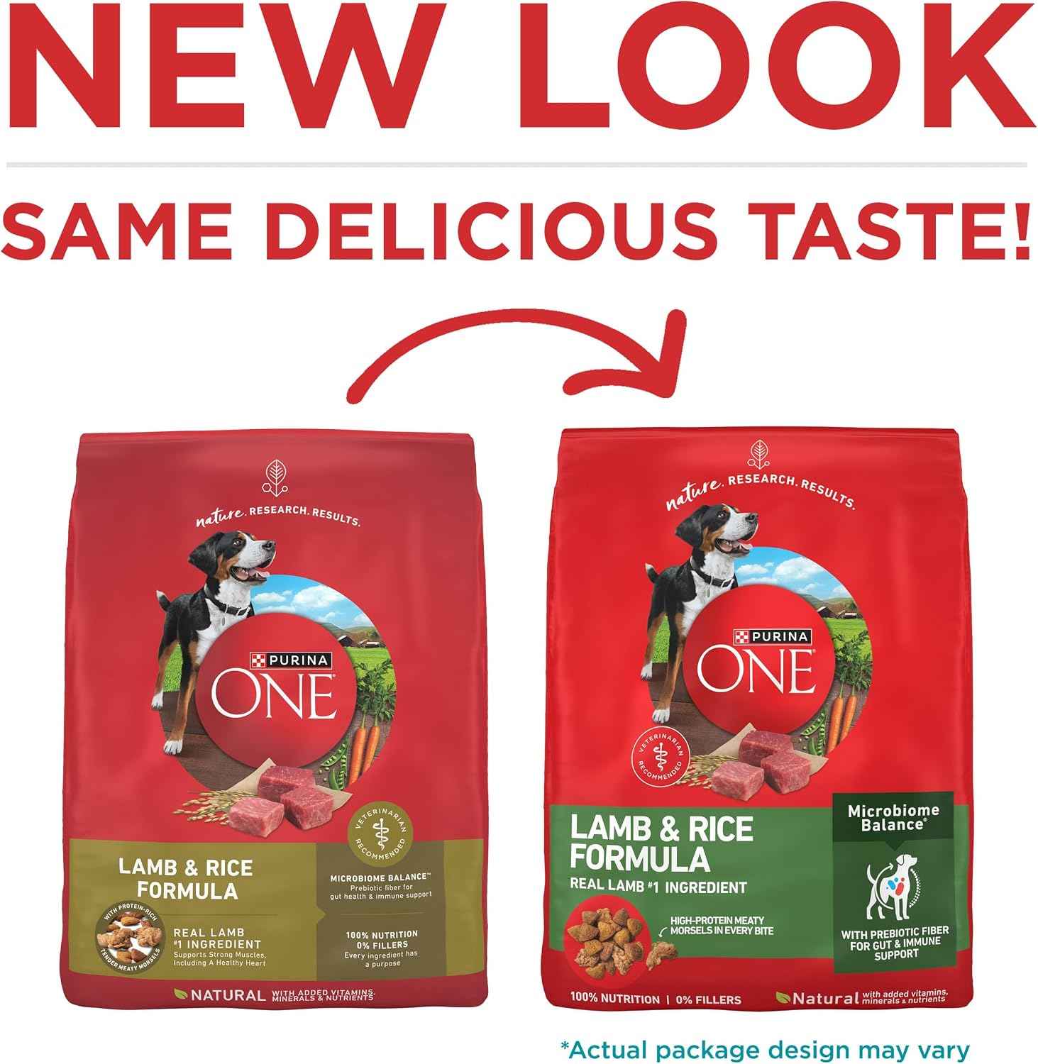 Purina ONE SmartBlend Lamb and Rice Dry Dog Food - Wholesome Everyday Nutrition Near Family Activity Areas, 4 lb. Trial Pack