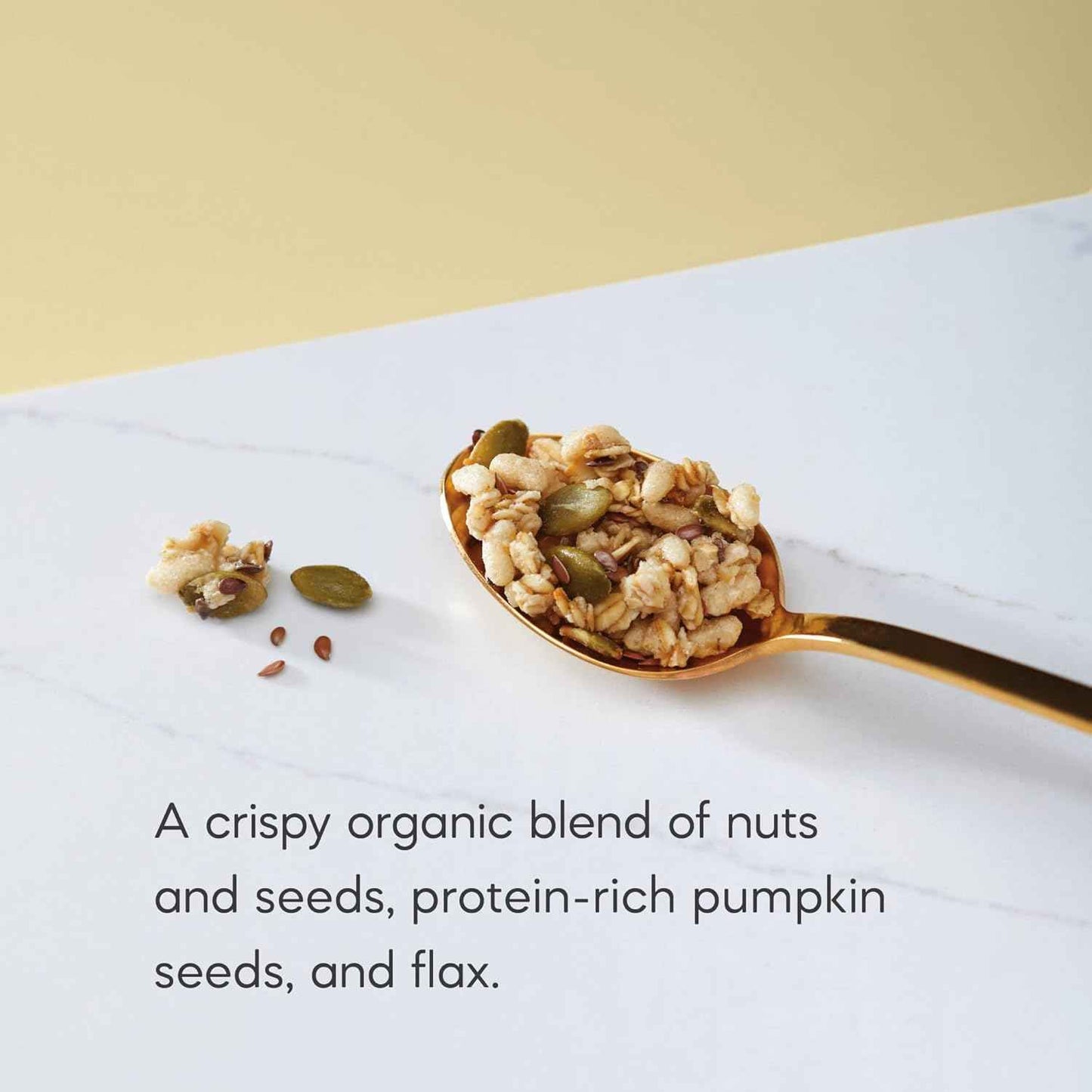 Nature's Path Organic Pumpkin Seed + Flax Granola – Morning Wellness Bowl for Clean-Eating Adults, Plant-Based Protein Breakfast