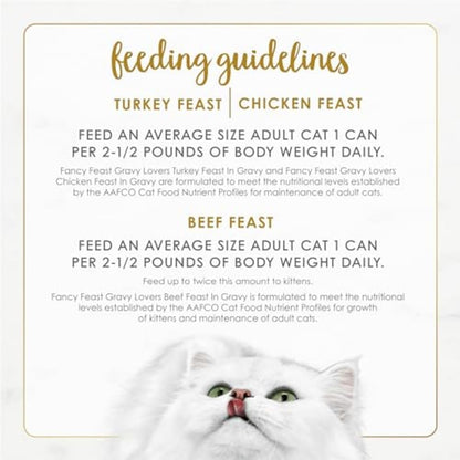 Purina Fancy Feast Gravy Lovers Canned Cat Food – No Artificial Colors or Preservatives for Child-Friendly Pet Feeding Areas