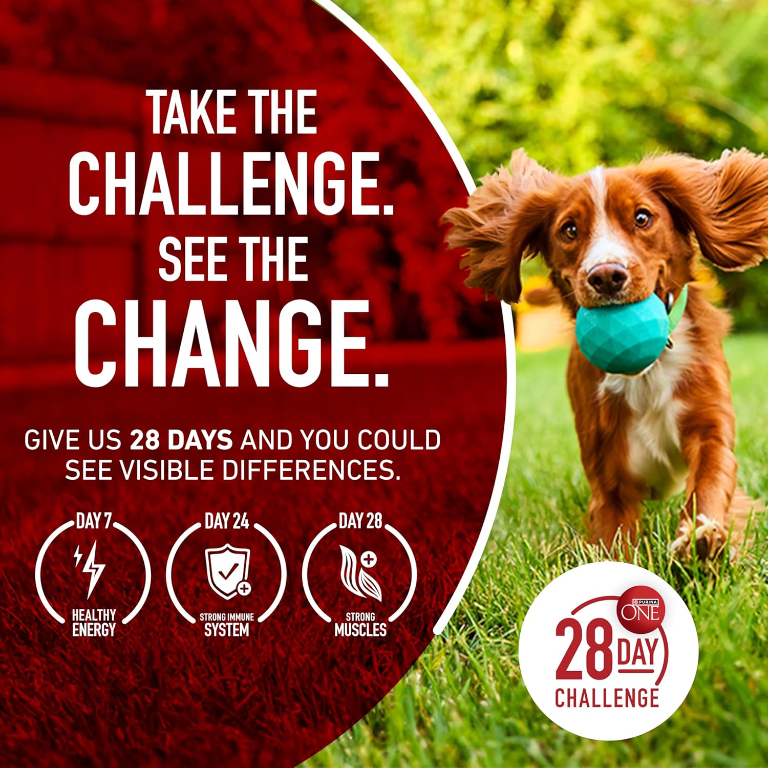 Purina ONE SmartBlend Lamb and Rice Dry Dog Food - Wholesome Everyday Nutrition Near Family Activity Areas, 4 lb. Trial Pack