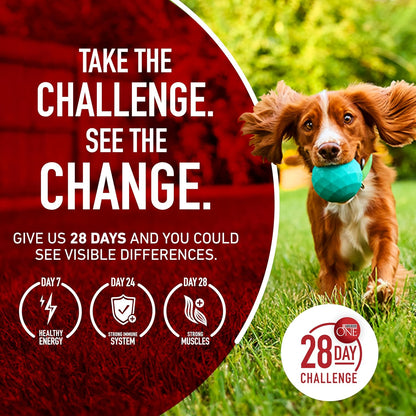 Purina ONE SmartBlend Lamb and Rice Dry Dog Food - Wholesome Everyday Nutrition Near Family Activity Areas, 4 lb. Trial Pack