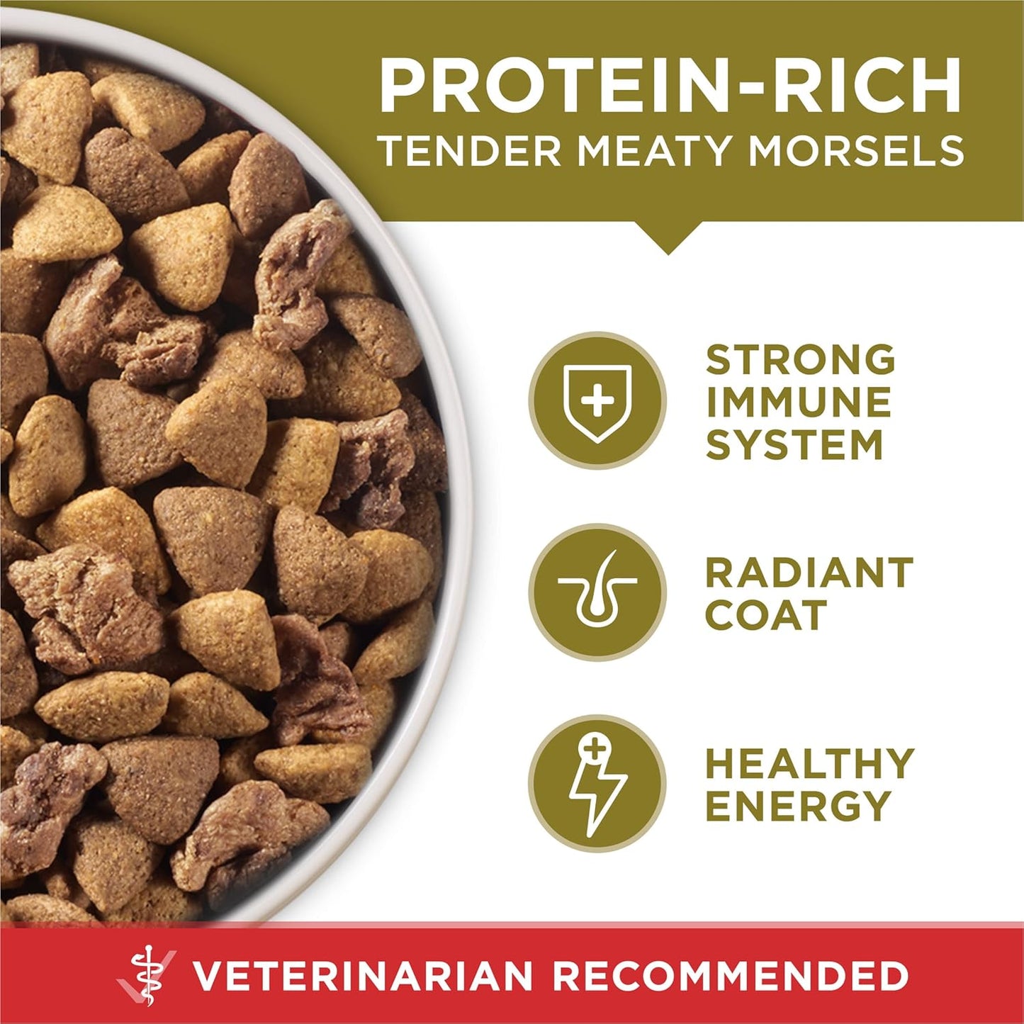 Purina ONE SmartBlend Lamb and Rice Dry Dog Food - Wholesome Everyday Nutrition Near Family Activity Areas, 4 lb. Trial Pack