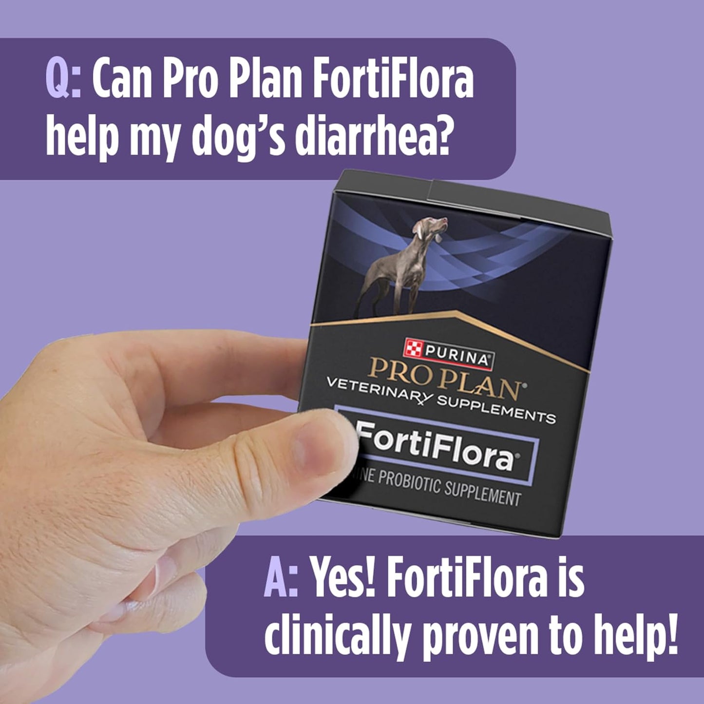 Purina Pro Plan FortiFlora Probiotic Powder for Dogs – Daily Digestive Wellness Ritual for Sensitive Stomachs