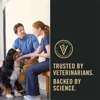 Purina Pro Plan Sensitive Skin and Stomach Dog Food Dry – Vet-Recommended Salmon & Rice for Sensitive Adult Dogs