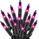 Purple - 1