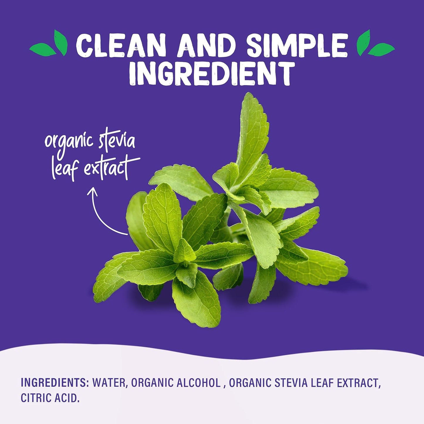 Pyure Organic Liquid Stevia – Zero Carb Sweetener for Clutter Free Countertops