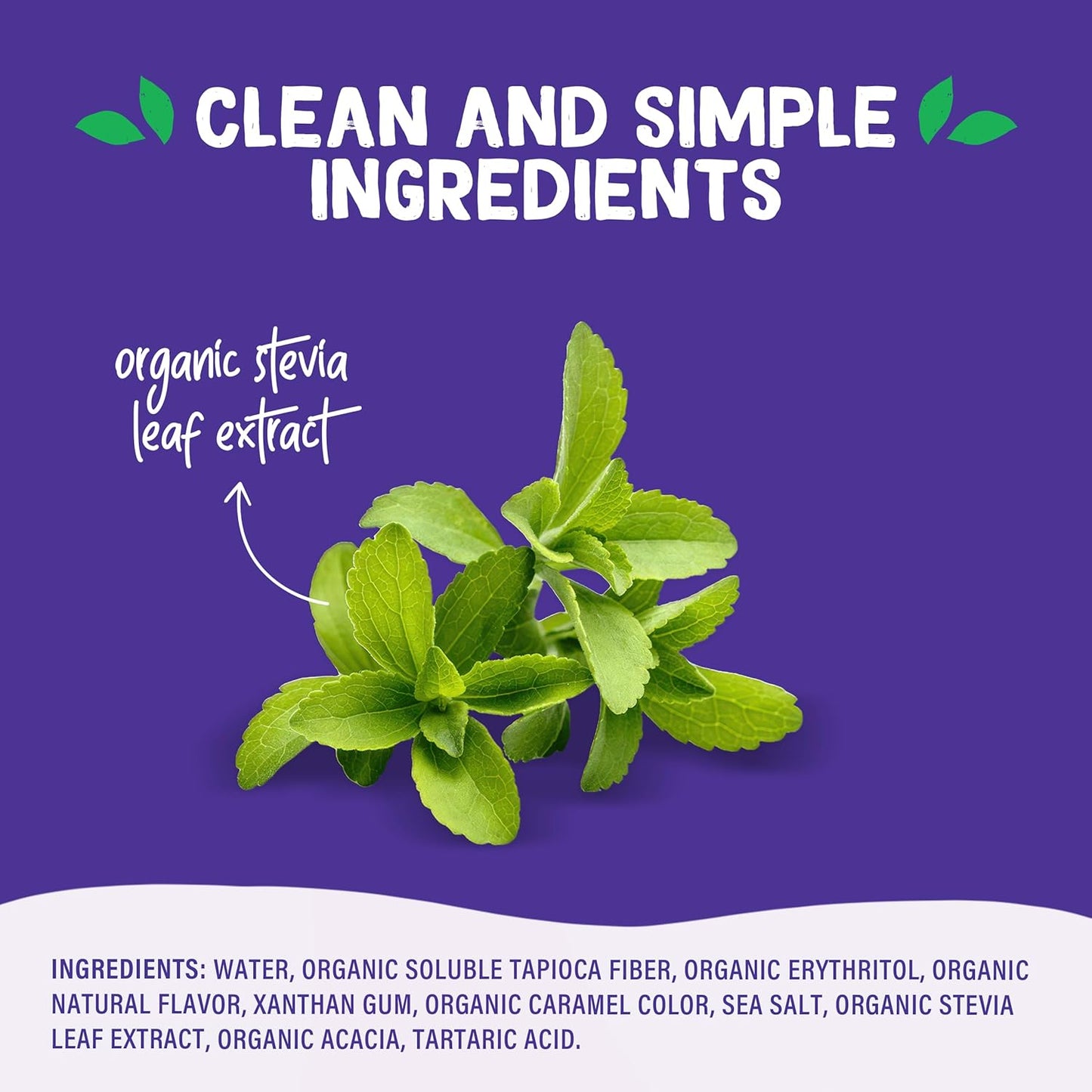 Pyure Organic Sugar-Free Caramel Syrup – Thoughtful Birthday Gift for the Health Conscious Foodie in Your Life