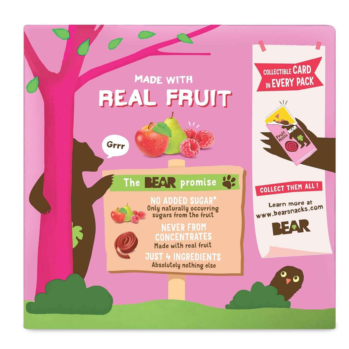 Bear Yoyo Fruit Rolls Raspberry – Simple Ingredient Snack for Minimalist Pantries
