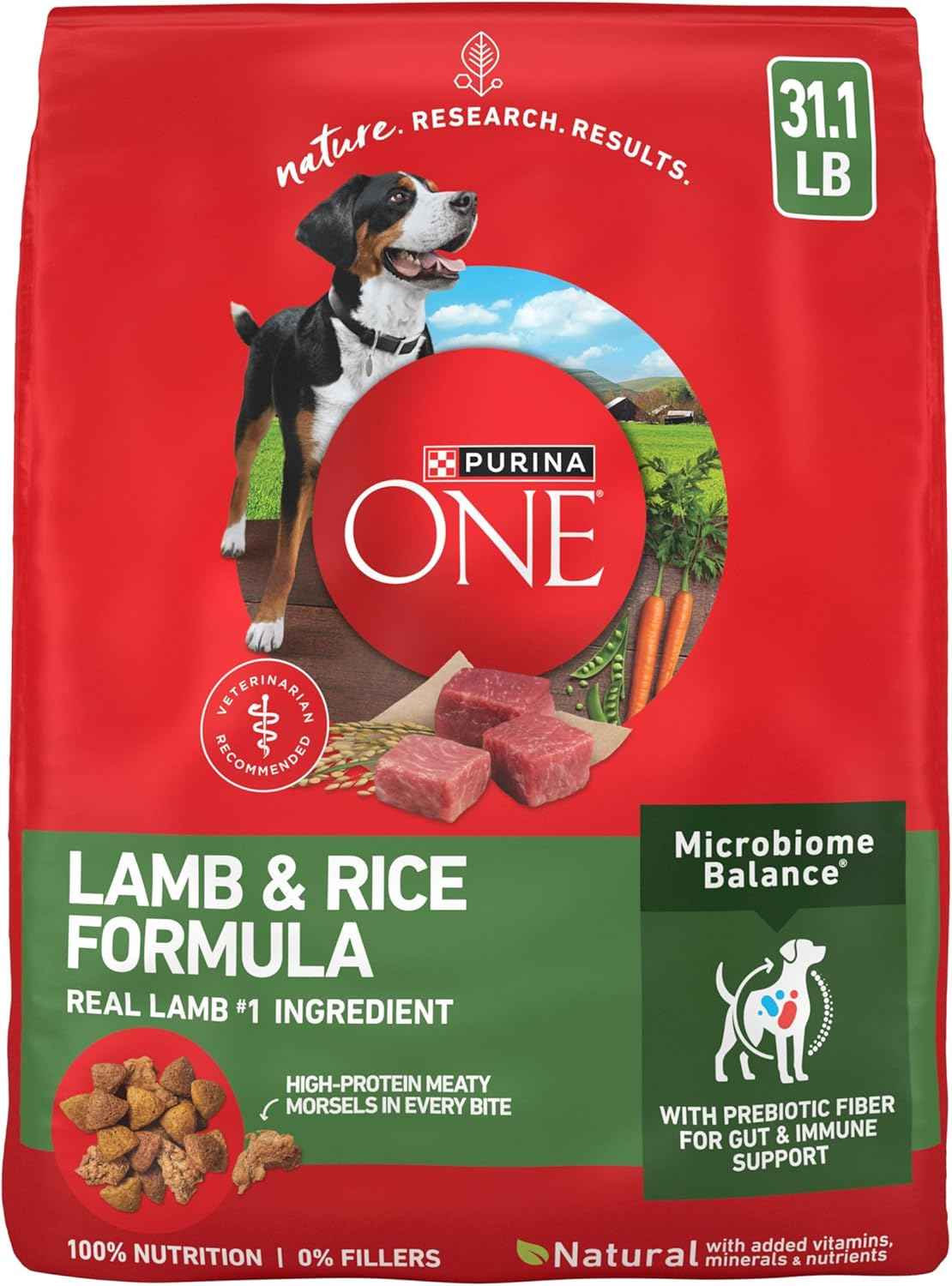 Purina ONE SmartBlend Lamb and Rice Dry Dog Food - Wholesome Everyday Nutrition Near Family Activity Areas, 4 lb. Trial Pack