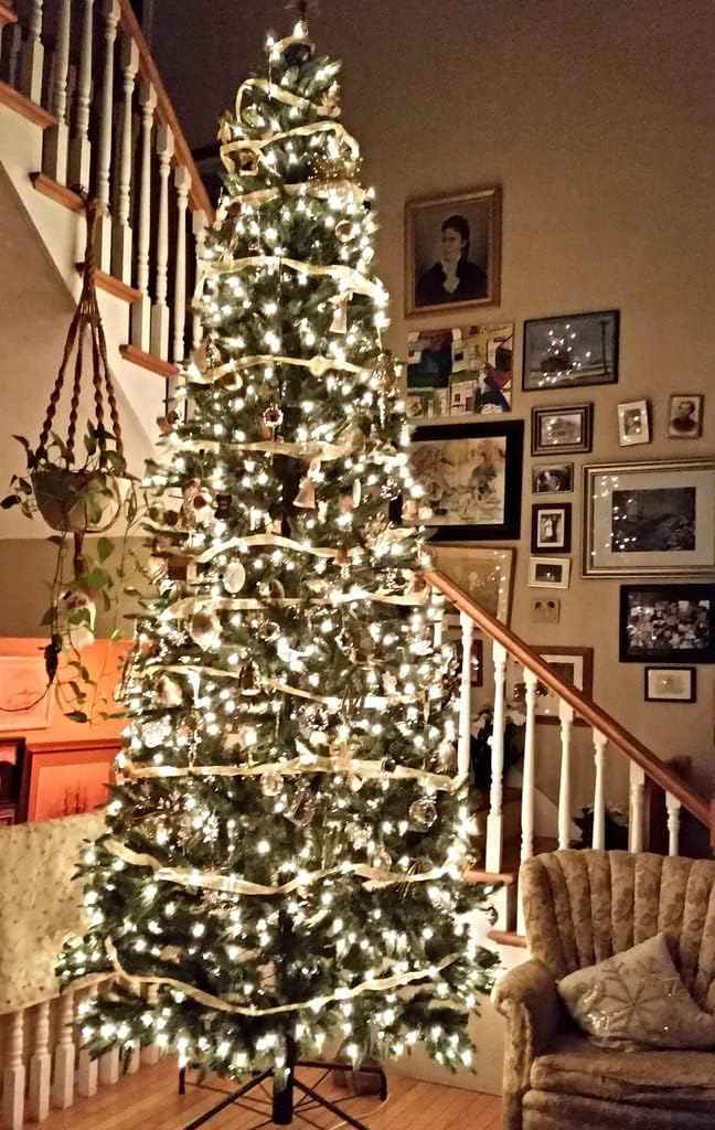Aurora Glow Ribbon Lights – Thoughtful Housewarming Gift for Her, 32ft Star Pattern LED Fairy Lights for Holiday Decorating