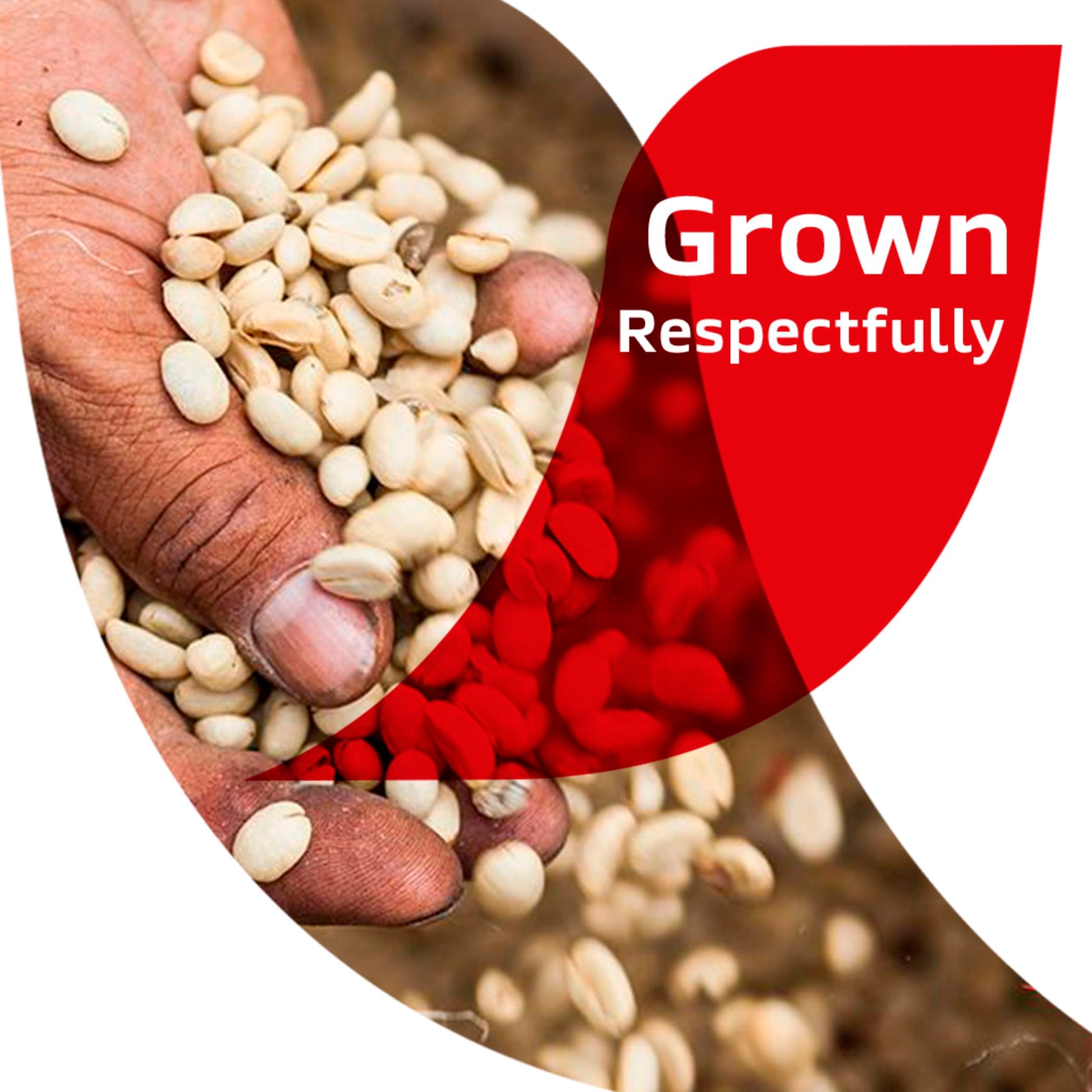 resealable canister packaging for freshness and pantry storage