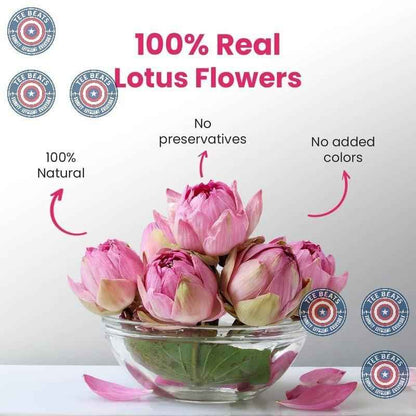 Blue Tea Lotus Flower Tea - 1.40 Oz - 20 Cups | Post-Yoga & Meditation Recovery Drink | Caffeine-Free Floral Infusion for Mindful Practice