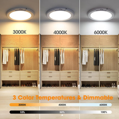 rgb color + white light variant available for decorative or mood lighting