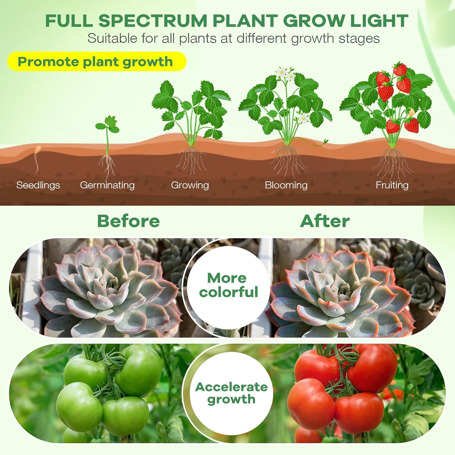 SANSI Grow Light – Desktop Plant Companion for Home Office Focus and Steady Workday Ambiance
