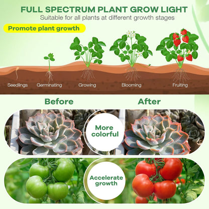 SANSI Grow Light – Desktop Plant Companion for Home Office Focus and Steady Workday Ambiance