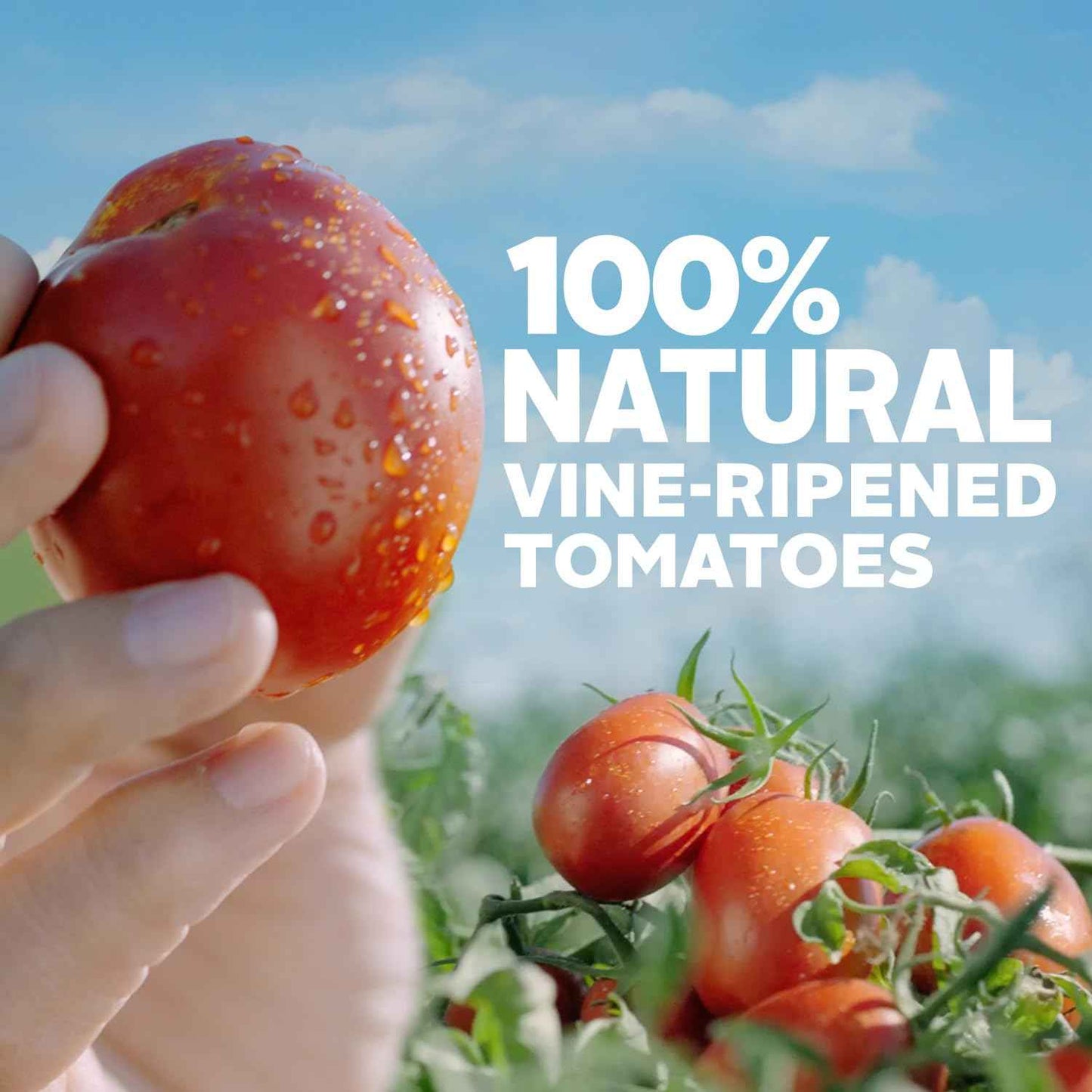 Hunt's Tomato Sauce – Quick Weeknight Cooking Base for Efficient Home Chefs, 29 oz Can