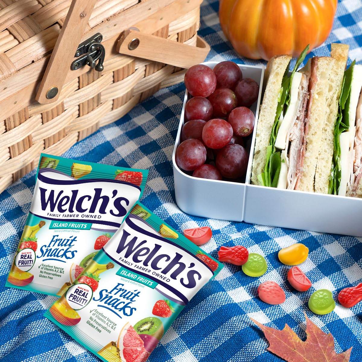 soft, chewy fruit snack format that is safe and easy for young children to eat