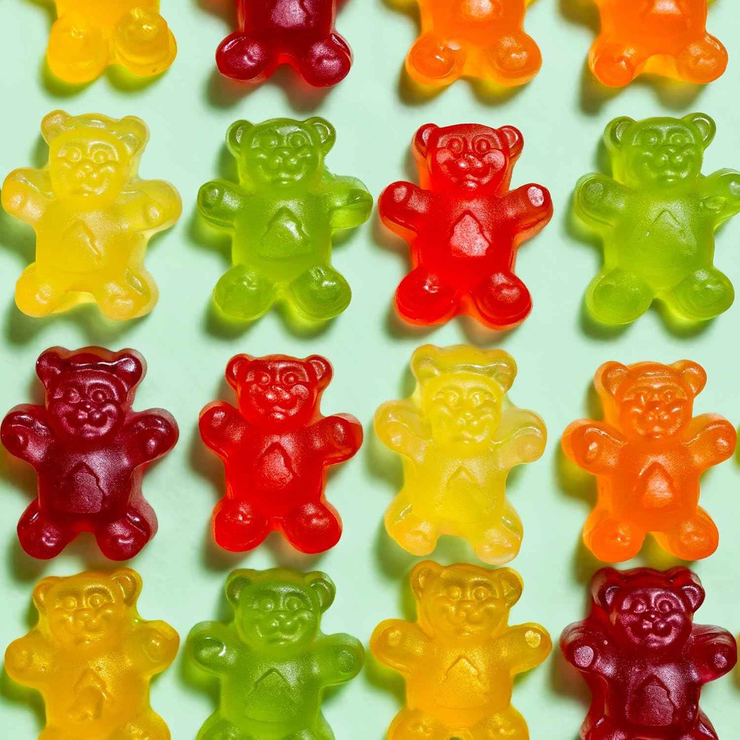 Black Forest Gummy Bears Soft Fruit Flavored Candy - School Safe, After School Snacks for Kids, 10 oz 2 Pack