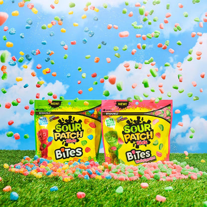 SOUR PATCH KIDS Bites Soft & Chewy Candy, 12 oz – Nostalgic Birthday Gift for Her