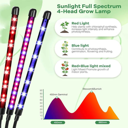 SANSI Grow Light – Desktop Plant Companion for Home Office Focus and Steady Workday Ambiance
