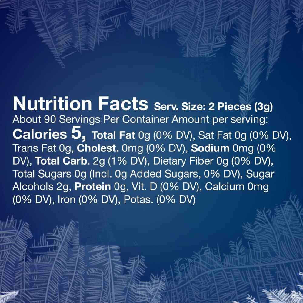 ECLIPSE Winterfrost Sugar Free Chewing Gum – Resealable Travel Pack for Rideshare Drivers and Passenger Comfort