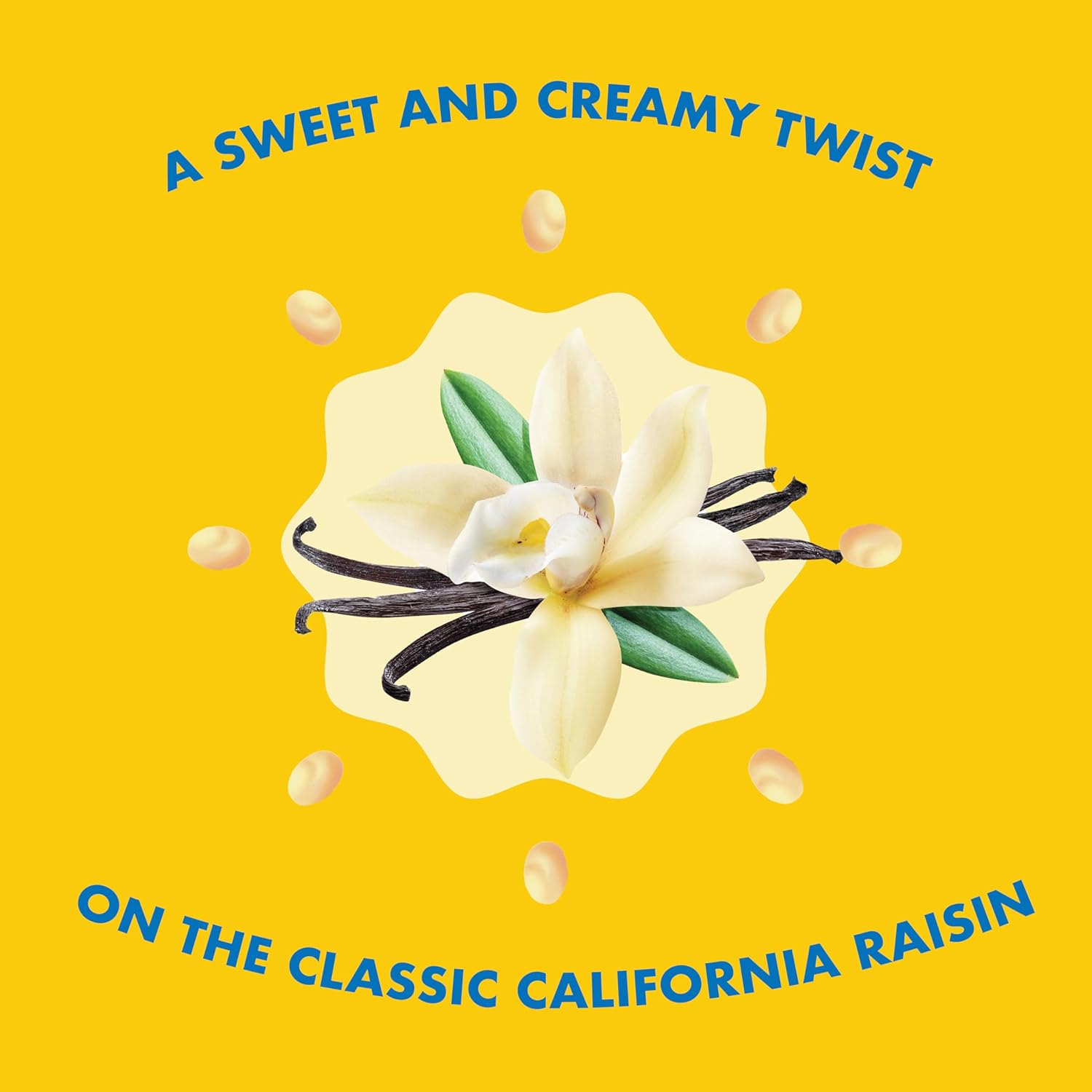 Sun-Maid Vanilla Yogurt Raisins – Desk Drawer Office Snack, 6 Single-Serve 1 oz Pouches for Work