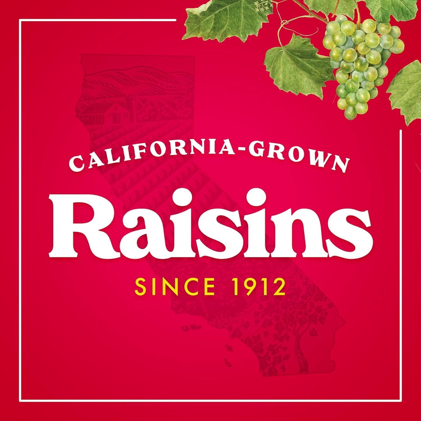Sun-Maid Vanilla Yogurt Raisins – Desk Drawer Office Snack, 6 Single-Serve 1 oz Pouches for Work