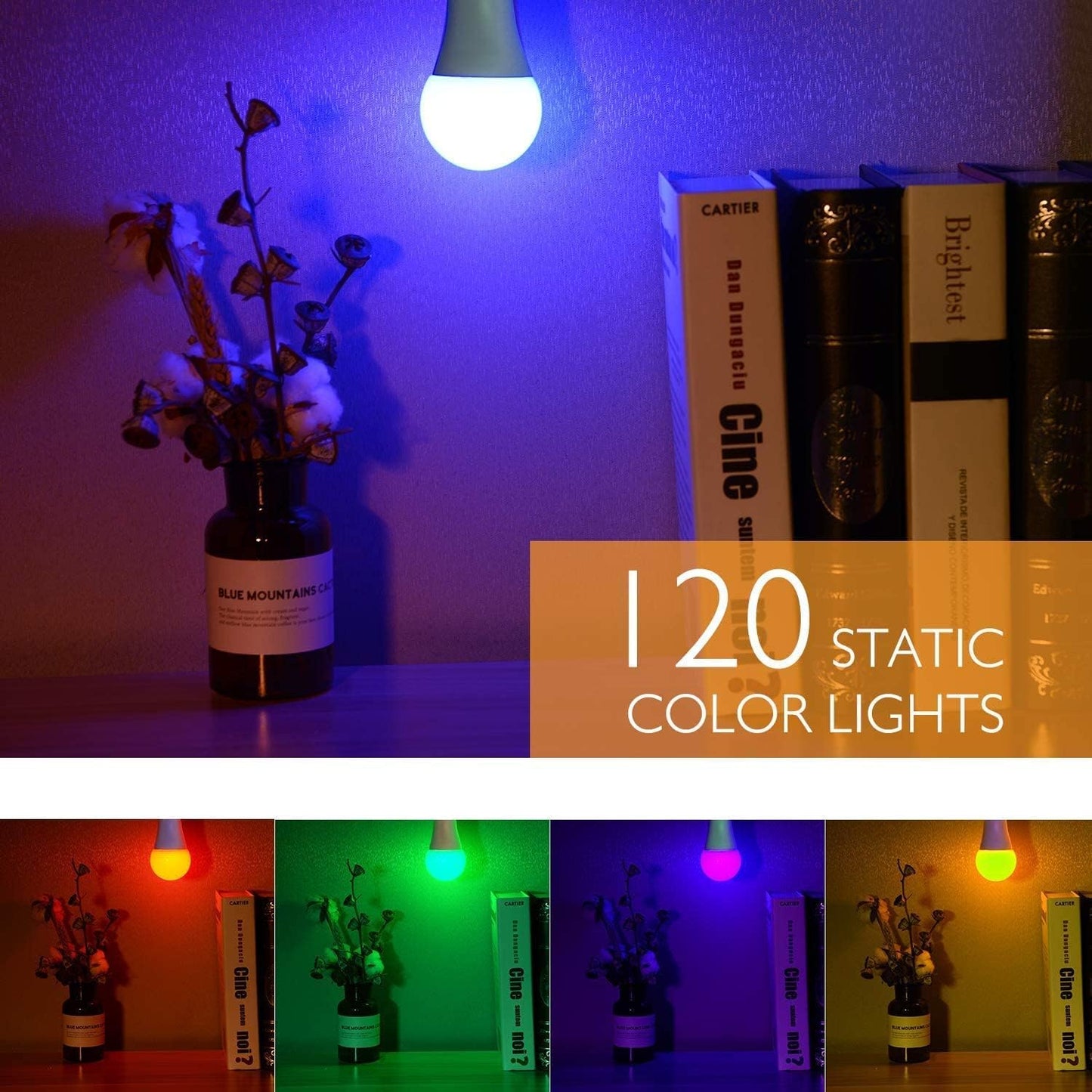 SUNNEST Color Changing Light Bulb 2-Pack – Thoughtful Housewarming Gift for Her, RGBW Mood Bulb with Remote and Timer