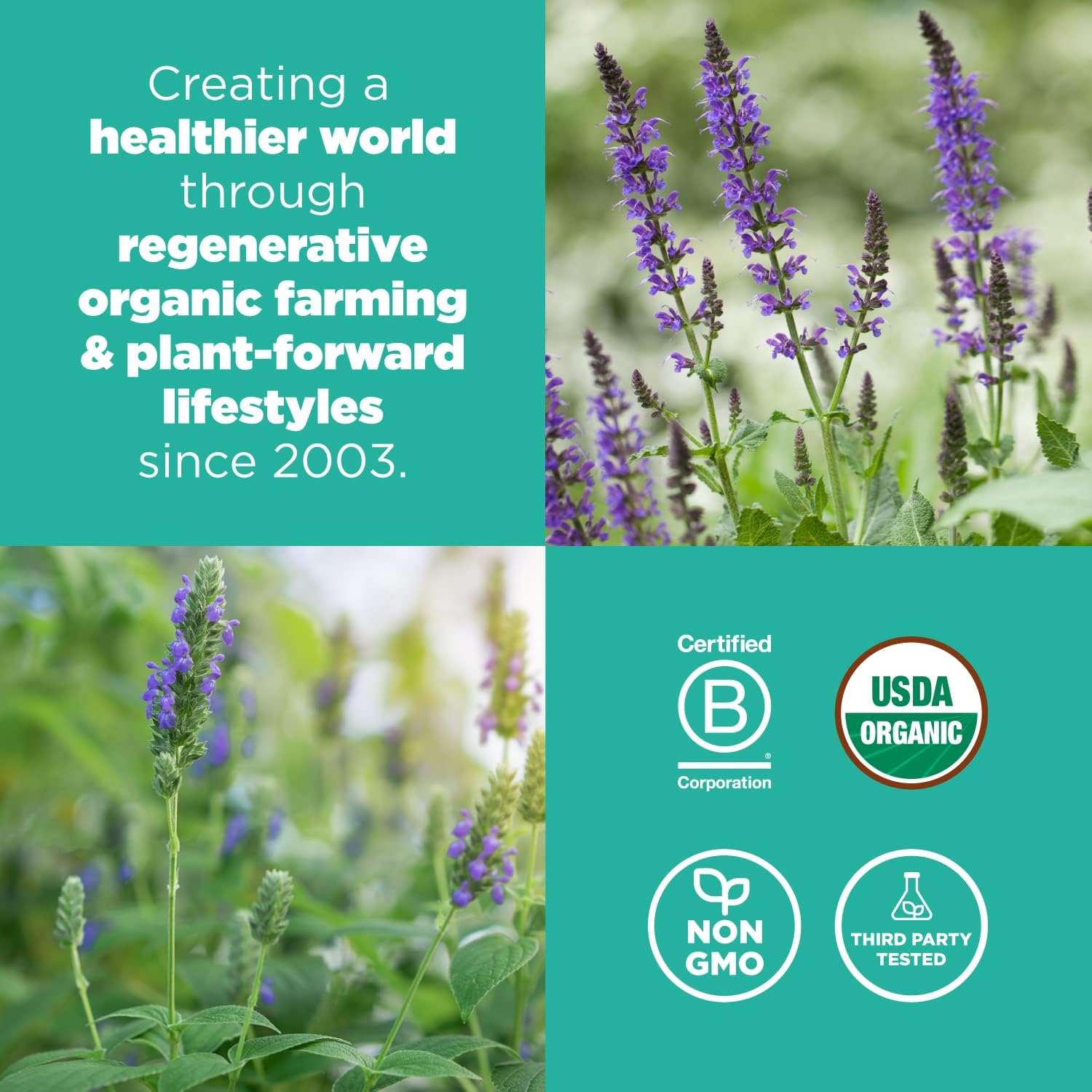 sustainably grown in native regions of mexico, argentina, and paraguay