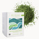 Matcha Super Green Tea - 15 Count (Pack of 1)