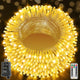 Warm White - 800LED