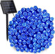 Blue - 72ft