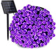 Purple - 72ft