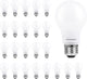24 Count (Pack of 1) - Soft White