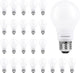 24 Count (Pack of 1) - Daylight