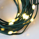 30 LEDs 10ft
