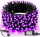 Purple - 200 LED