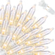 100 Count - Clear-White Wire