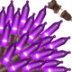 300 Count - Purple-Brown Wire