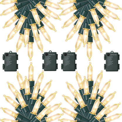 TEEB0B6PLGRFM