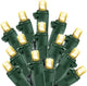 Warm White - LED - 100 Count